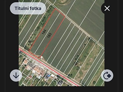 Fibichova, Držovice